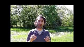 Pine Pollen Q&A: How to Reverse Hypogonadism and Increase Testosterone Production