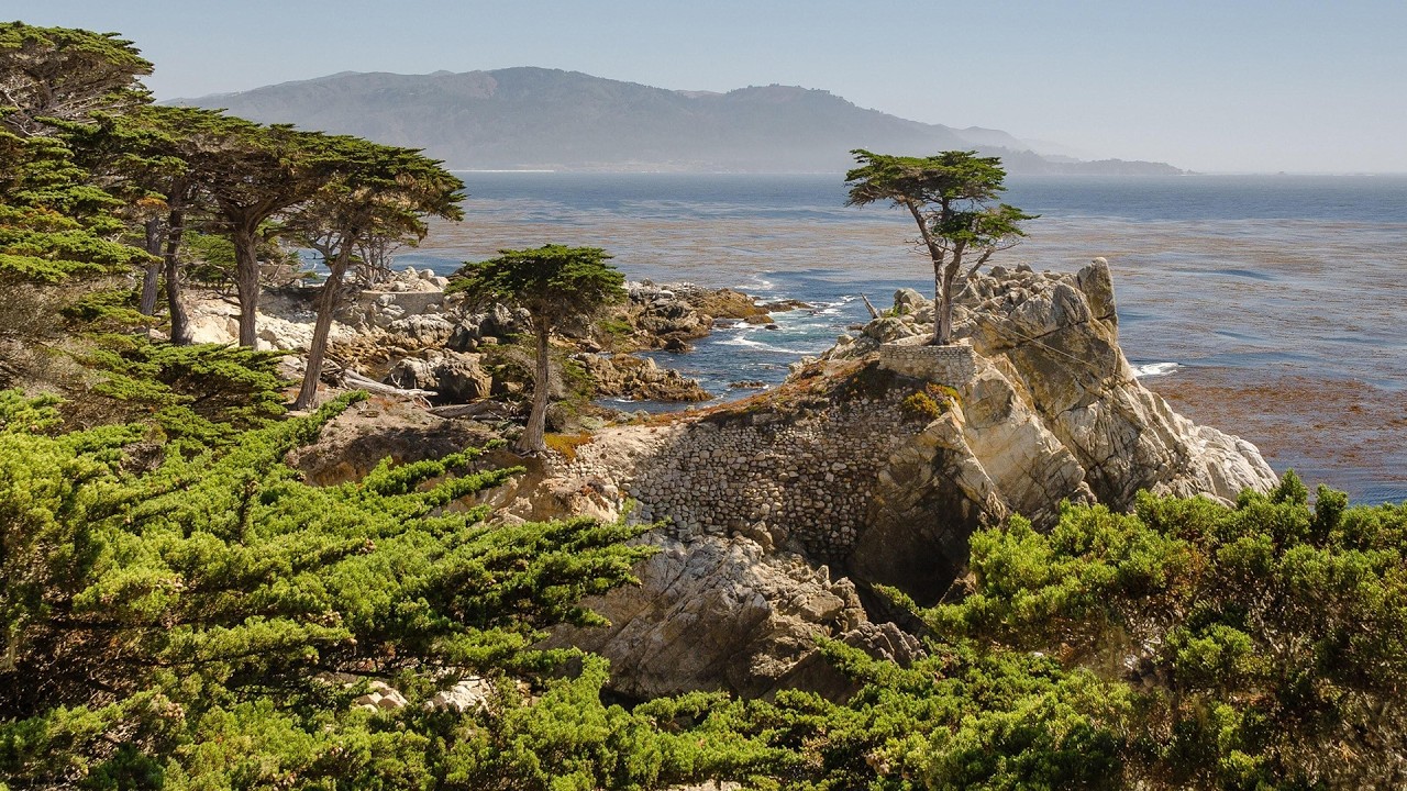 Monterey, Carmel and 17 Mile Drive Day Trip from San Francisco