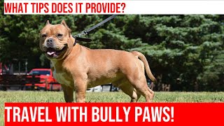 Traveling with Your American Bully: Essential Tips