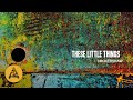 Miniature de la vidéo de la chanson These Little Things