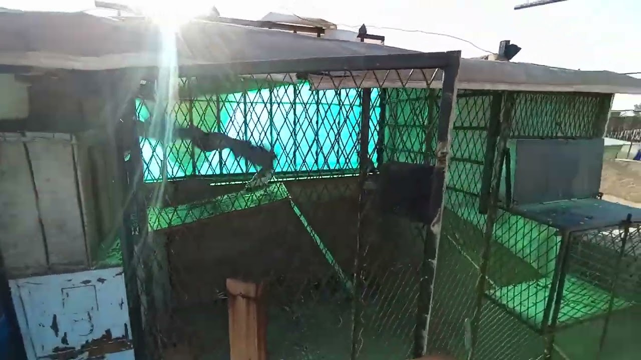 كيفاش نقلب في حمام الفعل على الحمام الممتاز🎖️🌹