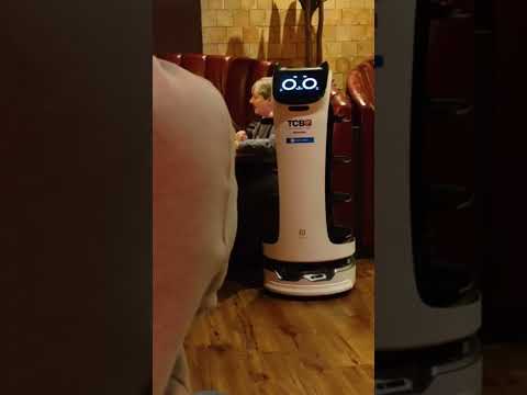 Robot Dining Chinese Buffet
