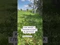 Уход за глухой кошкой в деревне? Лососевое масло Harly поддержит здоровье и шерсть!Артикул: WW133282