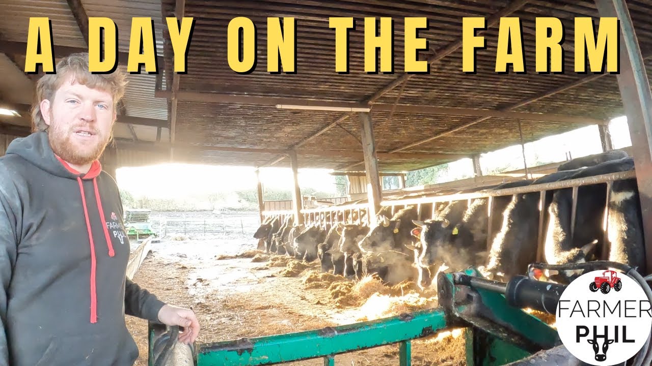 A DECEMBER DAY ON THE FARM - YouTube