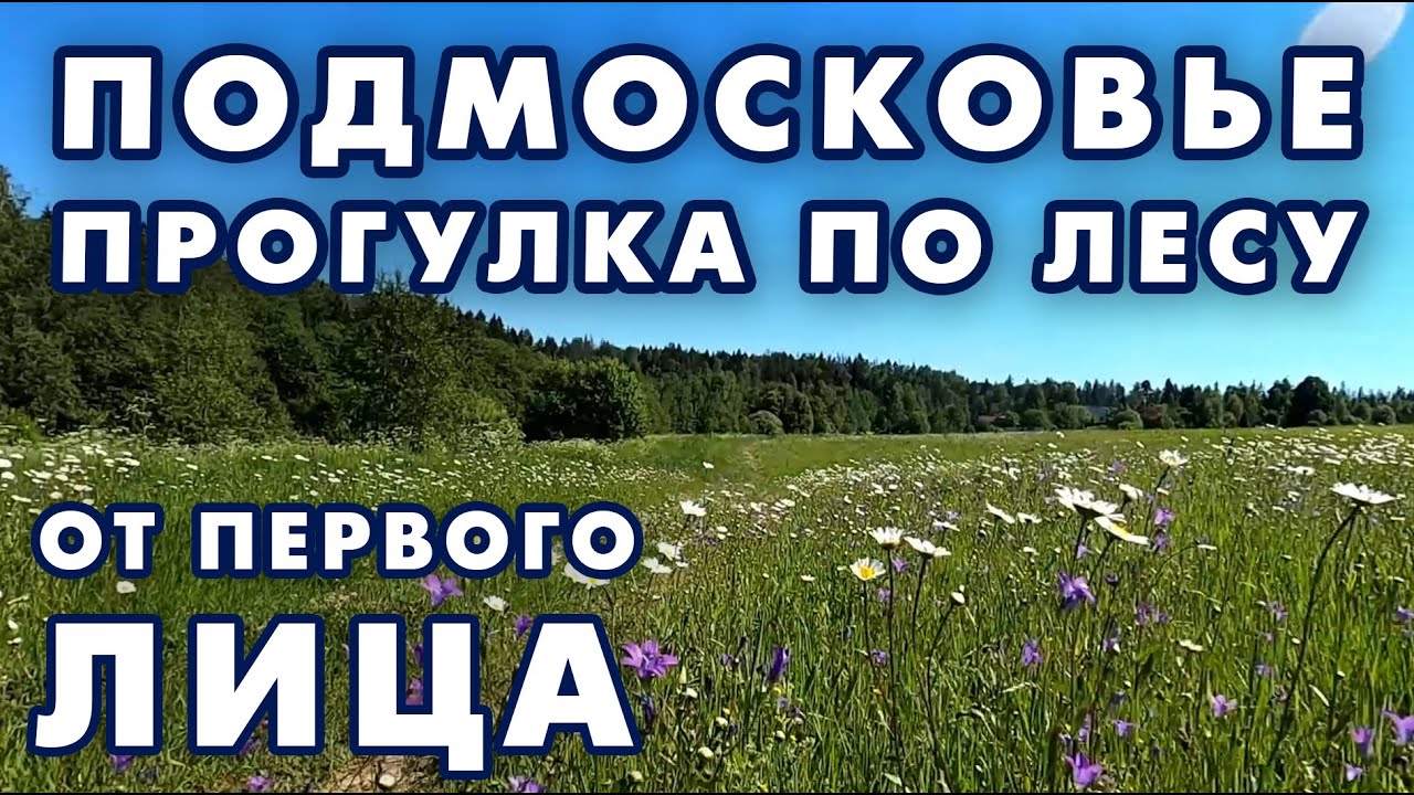 Видео от первого лица под музыку. Весь маркированный маршрут проекта RuTrail "На Марс".