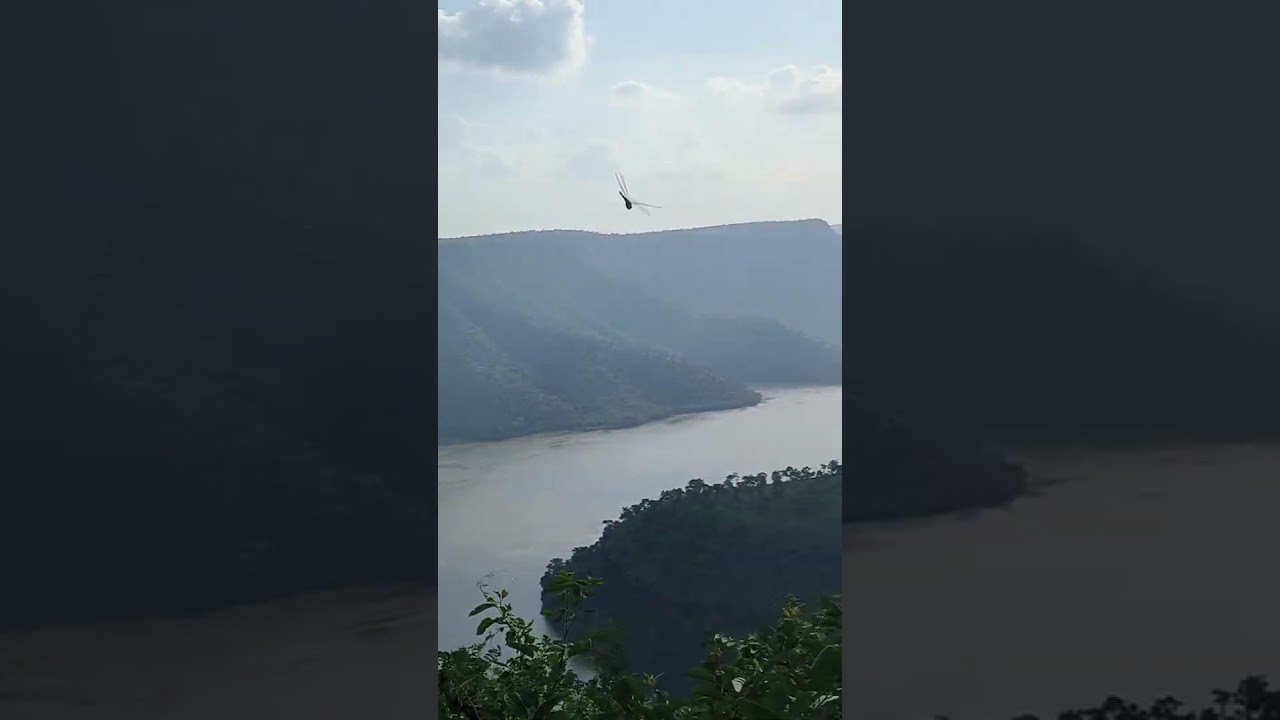 🐙 Octopus viewpoint 