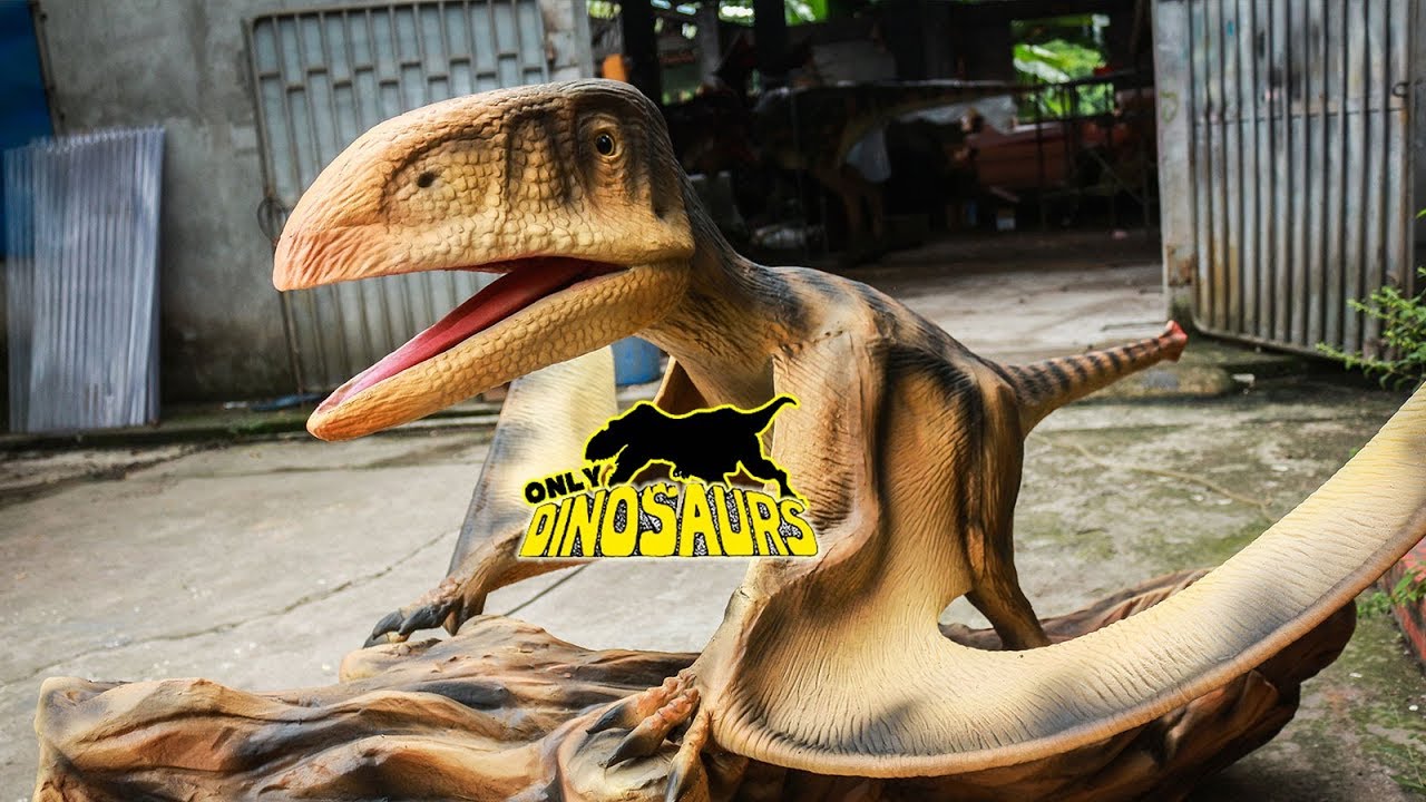 Realistic Dinosaur Animatronic Dimorphodon - YouTube
