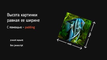 Высота картинки - равная ее ширине | адаптивные картинки | Верстка HTML CSS