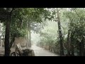 1 Hour of Alley Rain to Ease Your Mind