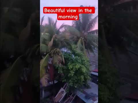 shortvideo  beautiful view in the morning 🌄 😍 #amazing