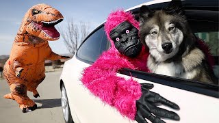 Gorilla & Kakoa Escape Giant Dinosaur Pov Chase