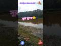 সুরা মুলক | লেকের শান্ত দৃশ্যে কোরআন তেলাওয়াত | পর্ব-৪৫🤲