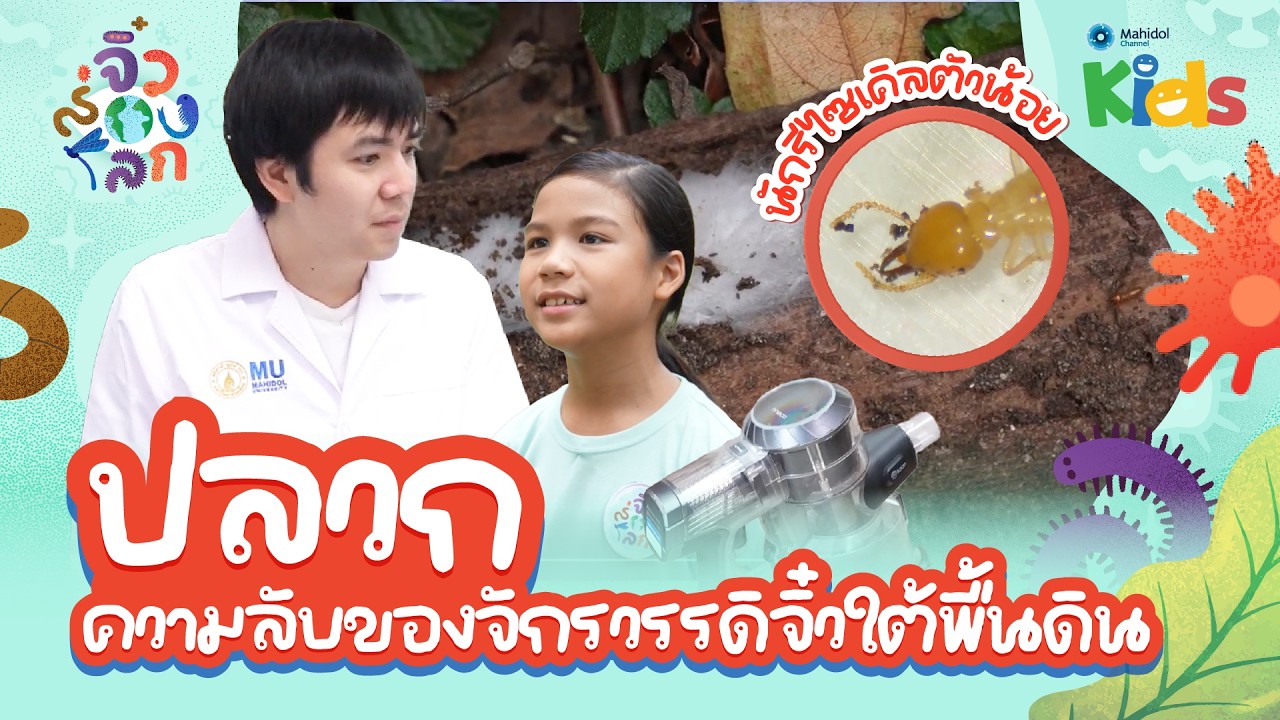 🔬 ส่องกล้องจุลทรรศน์ดู "ปลวก" ความลับของจักรวรรดิจิ๋วใต้พื้นดิน | จิ๋วส่องโลก