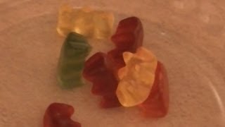 Gummy Bear Microwave - What happened when we microwaved  gummy bears