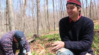 Spring Foraging with Northeast Kingdom