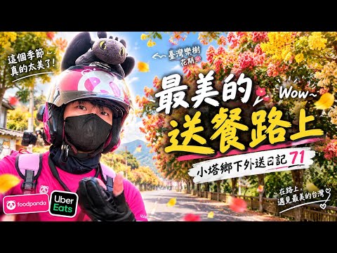 送餐送到捨不得回家！🌸 臺灣欒樹開滿整個城鎮，這就是台灣感性｜小塔鄉下外送日記 #foodpanda #ubereats #熊貓 #台灣感性 #대만감성 #外送員 #外送日記 #臺灣欒樹 #欒樹 