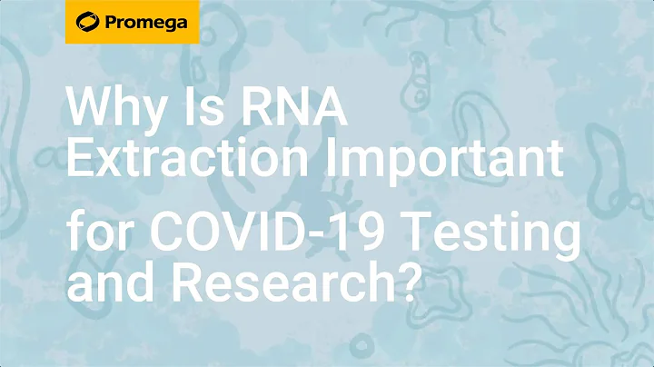 Why Is RNA Extraction Important for COVID-19 Testing and Research? - DayDayNews