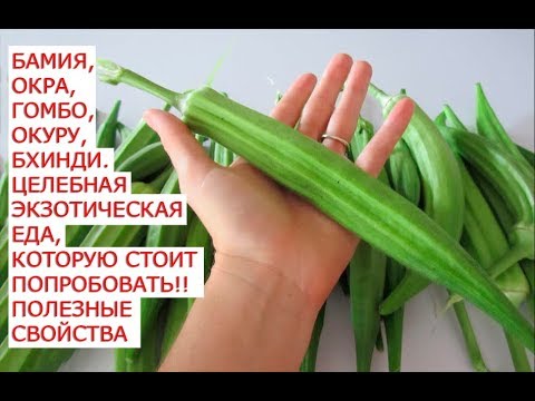 Бамия окра гомбо окуру бхинди целебная экзотическая еда которую стоит ...