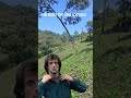 rambo en las lomas