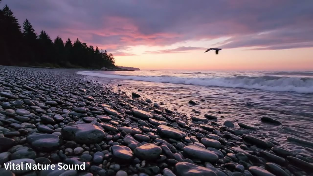 Sunset Ocean Waves 🌙 Nature Sounds for Sleeping, Insomnia & Calm | Vital Nature Sound