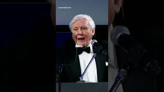 David Attenborough describes humanity