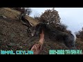 İSMAİL CEYLAN TAVŞAN AVI 24 KASIM ÇARŞAMBA &amp; RABBIT HUNTING &amp; охота на кроликов