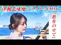 天空の城ラピュタ「君をのせて」津軽三味線×アニメ×EDM 獅子道MV ジブリ GHIBLI Laputa Carring You