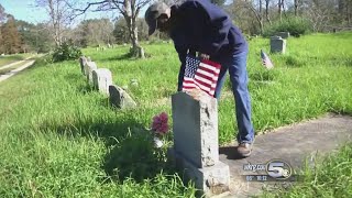 Volunteers Plant Flags at Mobile Cemetery on Veteran's Day