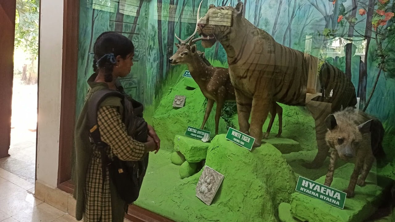 Nature as a Classroom | Vanya Vijnana Vihaara Full Documentary | WCG