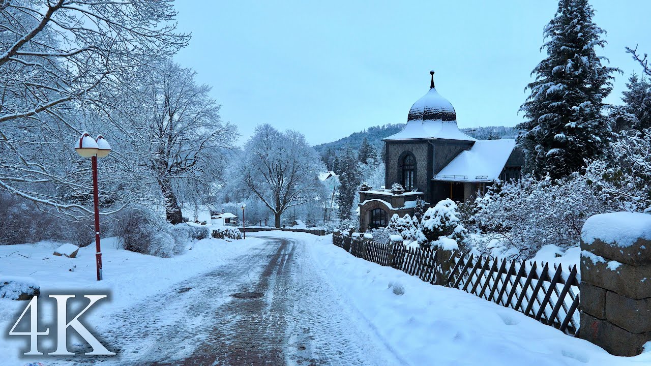Schierke in the Harz Mountains ❄️ Walk in the snowy Mountain Town 🏔️Harz Narrow-Gauge Railway  🚂