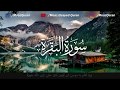 Soothing Recitation of Surah Al-Baqarah | Qari' Moaz Elsayed | القارئ معاذ السيد (Surah 02)