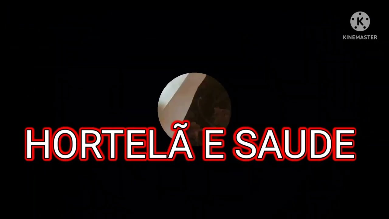 COMO CUIDAR DA HORTELÃ EM CASA COMO CUIDAR DA HORTELÃ EM CASA