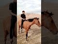 الفارس الشجاع