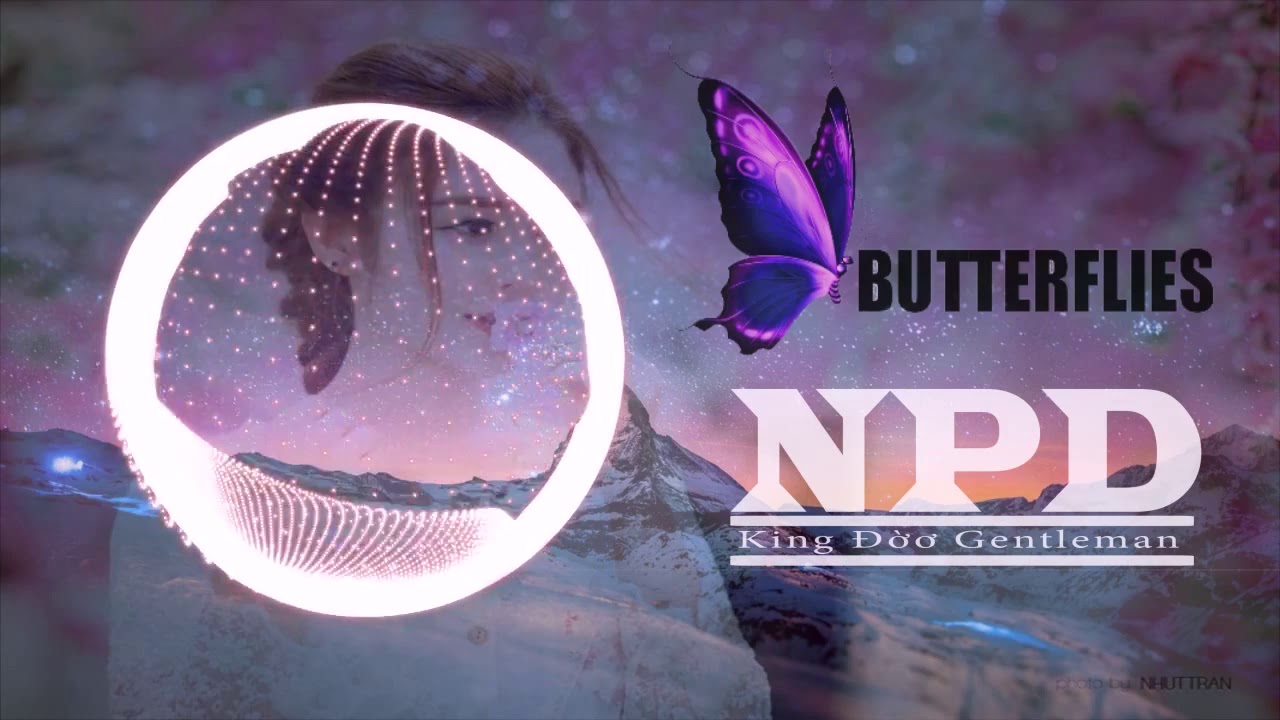 Butterflies Zendaya NCS YouTube