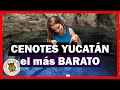El CENOTE mas BARATO ⭐ de YUCATAN, solo CUESTA $20 PESOS - Cenote Yax Ha