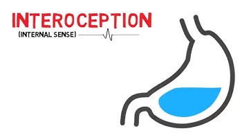 What is Interoception? (internal sense)