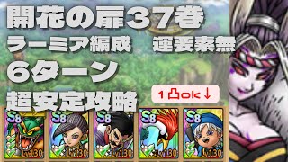 【ドラクエタクト】開花の扉37巻　ラーミア編成　運要素無　超安定6ターン攻略