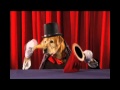 (Vídeos) Houdini : Dog Magician