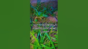 #سورة_المؤمنون