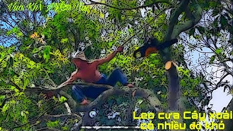 A Tùng (Vua Khỉ)Leo cưa Cây Xoài trên mái nhà và có hàng rào bên dưới có nhiều độ khó