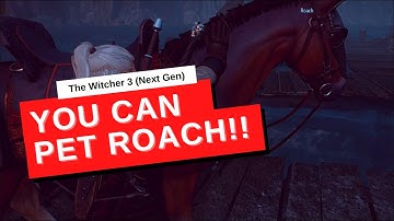 Pet Roach in Witcher 3 Next Gen Update
