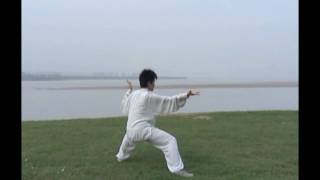 Taiji Chen Style 56 form 陳式太極拳56式競賽套路 2011 (顧青 Susan Gu)