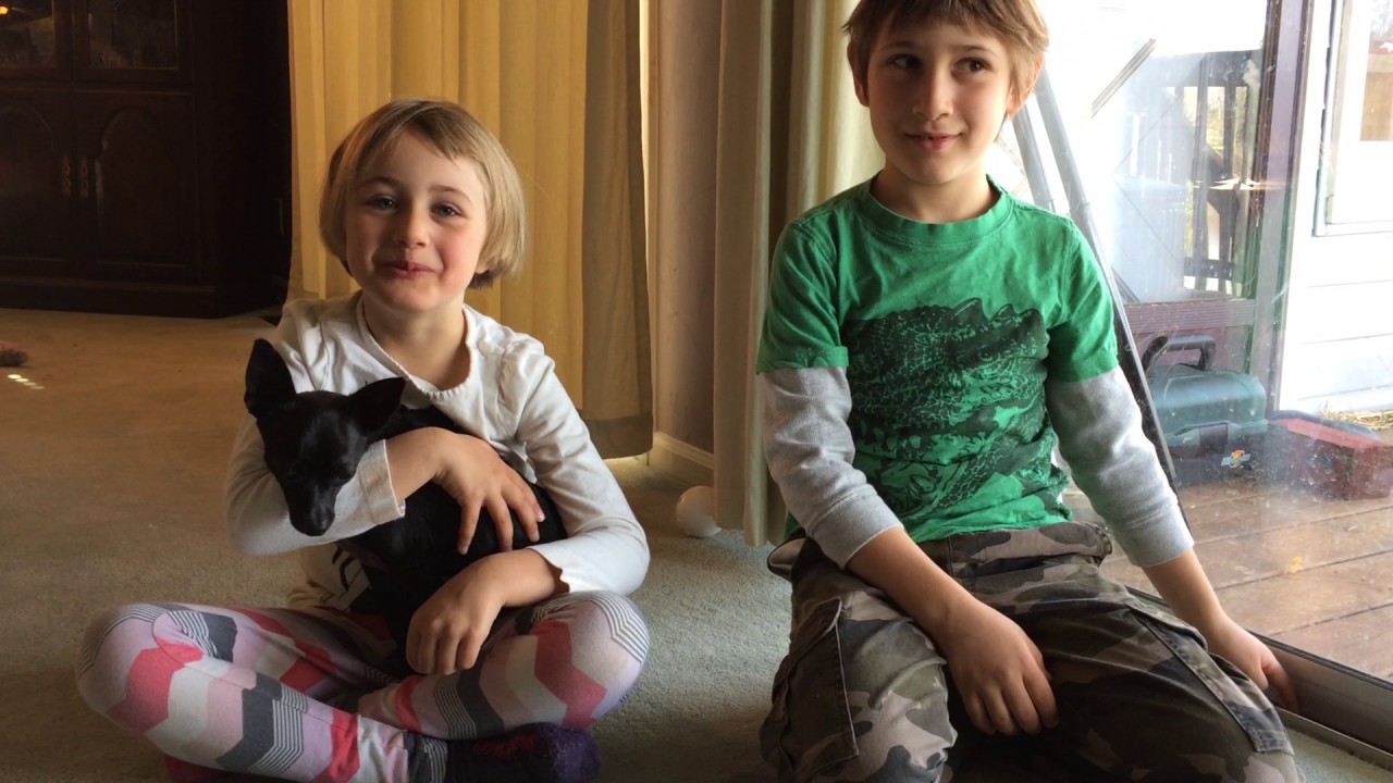 Animal House Episode 1 YouTube