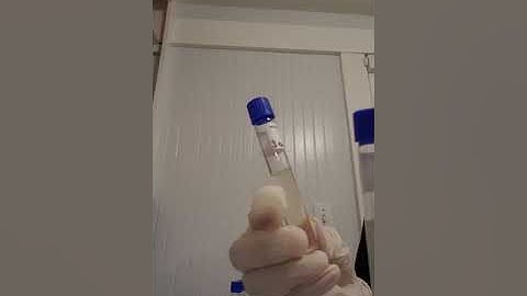 Salt Tolerance and pH testing result