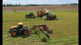 Making COW CHOW.  Wheat  silage HARVEST 2020