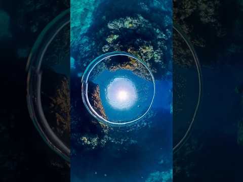 Bubble ring art freediving !!