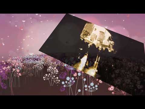 هايم بليل الهوى عن غصنه تايه حزين بكري الكردي