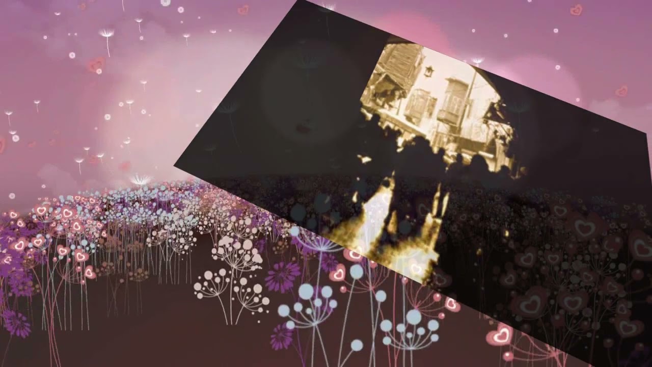 هايم بليل الهوى عن غصنه تايه حزين - بكري الكردي