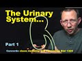Urinary system anatomy part 1