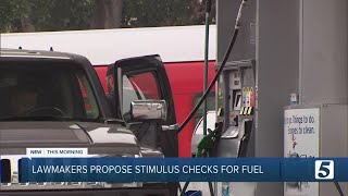 Federal lawmakers discuss possible stimulus payments to alleviate high gas prices